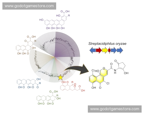 聚焦PLA足球联赛发展趋势与未来竞技格局全景深度解析蓝图研判